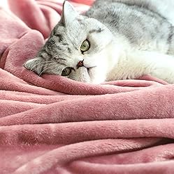 TASTHROW Large Flannel Fleece Throw Blanket, 50×70