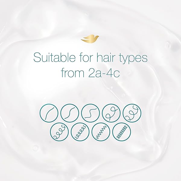 AMPLIFIED TEXTURES, HYDRATING CLEANSE SHAMPOO, 11.5 FL OZ (340 ML), DOVE