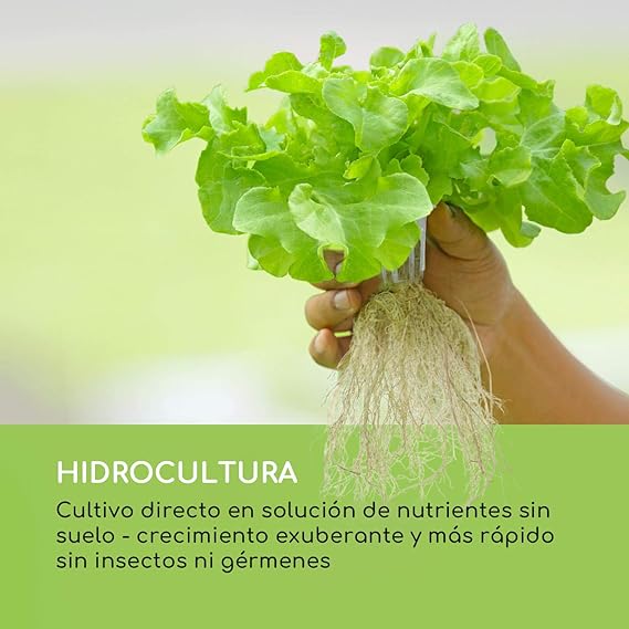 Blumfeldt Urban Bamboo Jardín hidropónico - Huerto, Sistema para ...