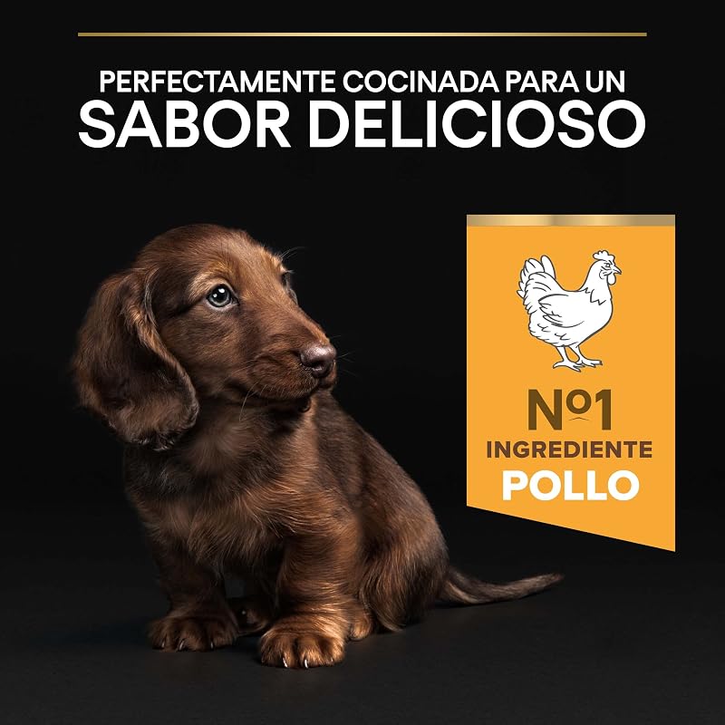 Small&Mini Puppy Start pienso perro Cachorro con calostro 8x700 g