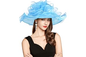 YIDINGCO 2025 Kentucky Derby Hat for Women Ladies, Organza Veil Feather Fascinator for Tea Party Church UV Protection Sun Hat