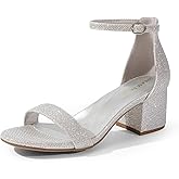 DREAM PAIRS Womens Low-Chunk Low Heel Pump Sandal