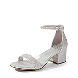 DREAM PAIRS Womens Low-Chunk Low Heel Pump