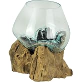 Molten Glass Vase on Teak Driftwood, 7.5 Inch | Clear Hand-Formed Bowl, Natural Wood Base, For Succulents, Air Plants, Herbs or Desktop Terrariums