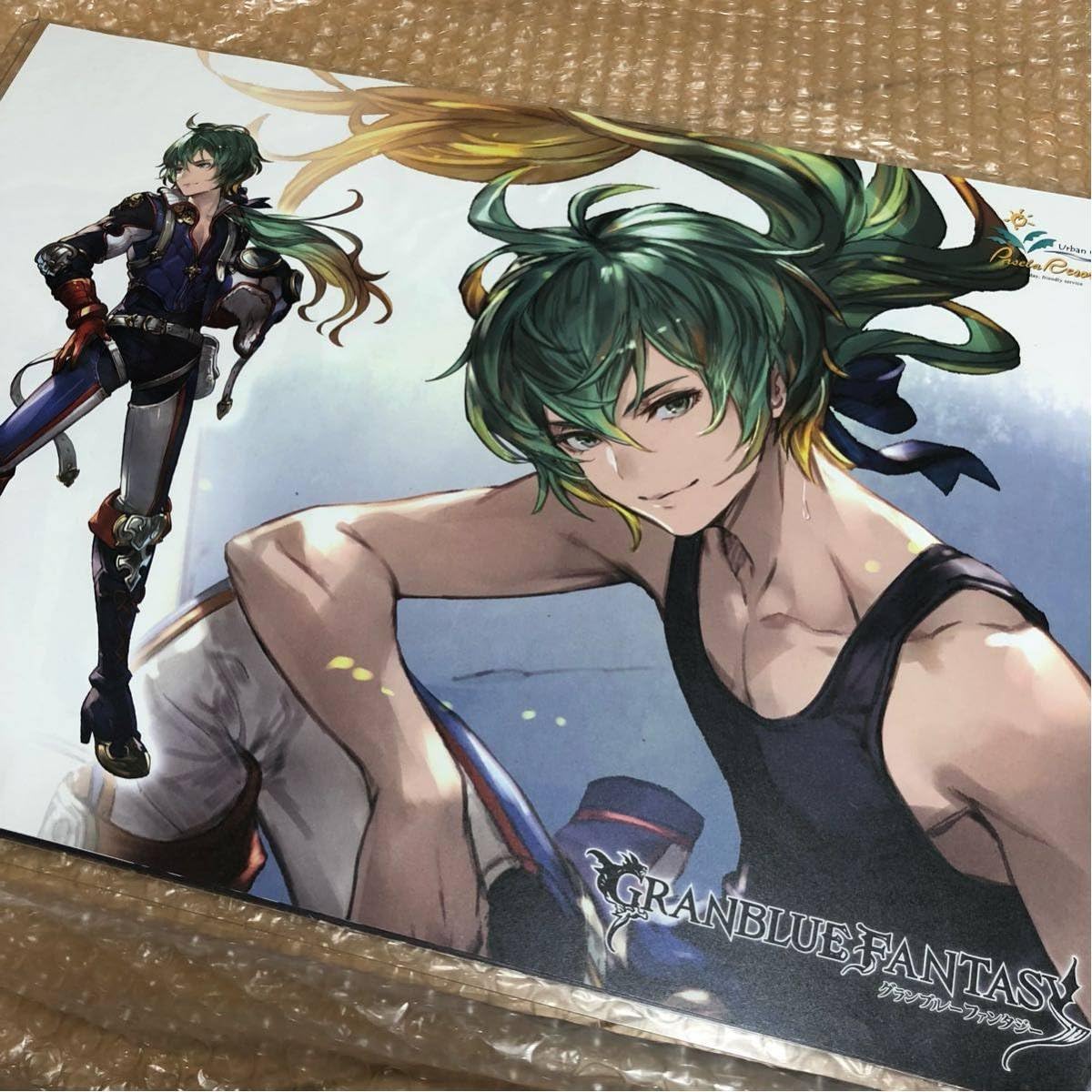 Amazon Co Jp グランブルーファンタジー ミュオン ランチョンマット ハニトーカフェ グラブル A3 ポスター ホビー 通販