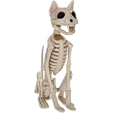 Crazy Bonez Sitting Skeleton Cat