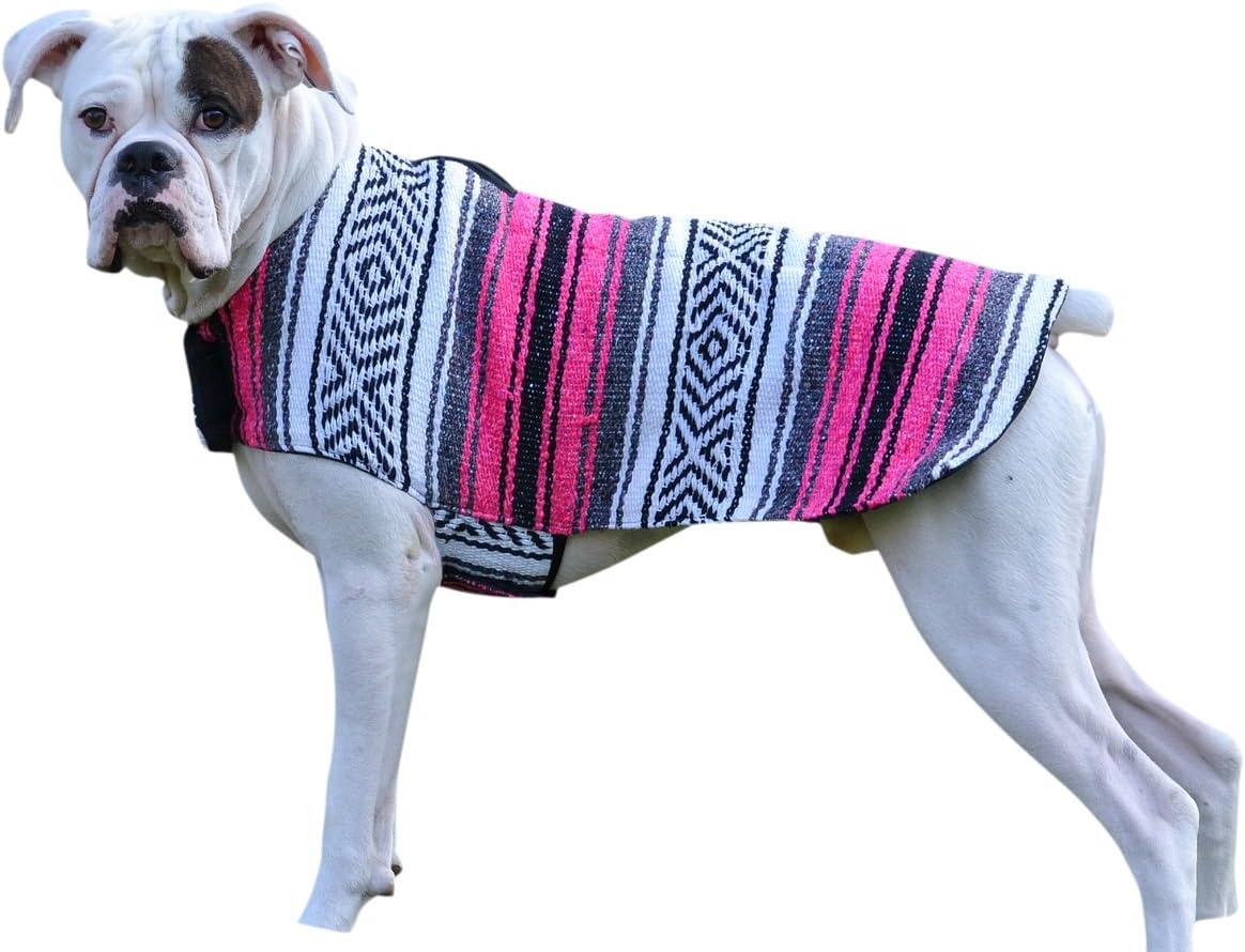 Del Mex Handmade Mexican Serape Dog Pet Poncho Costume (X-Small, Pink)