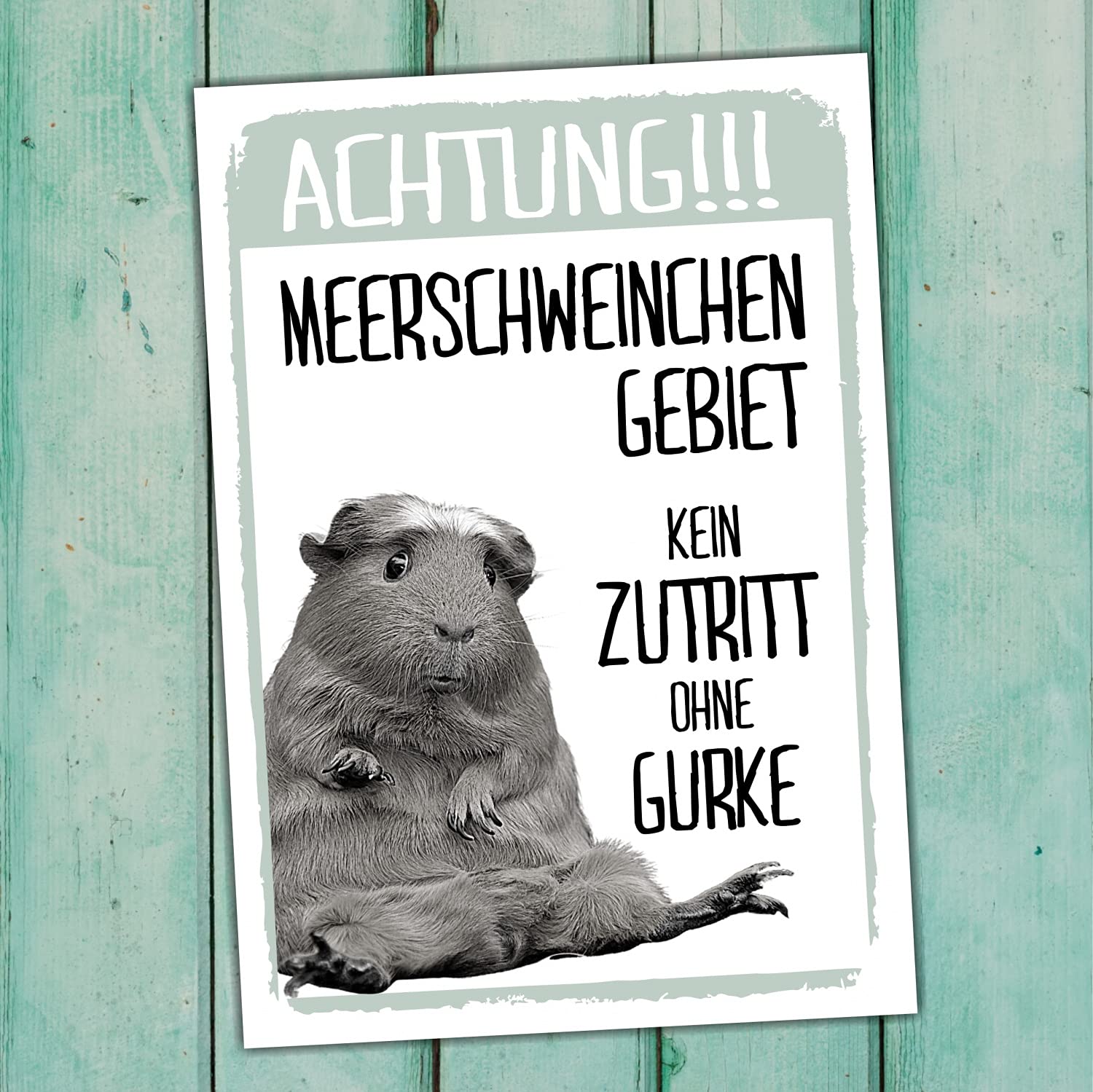 Siviwonder Guinea Pig No Access Cucumber Sign [SM], Modern Metal Sign with Pre-printed Text for Door Decoration