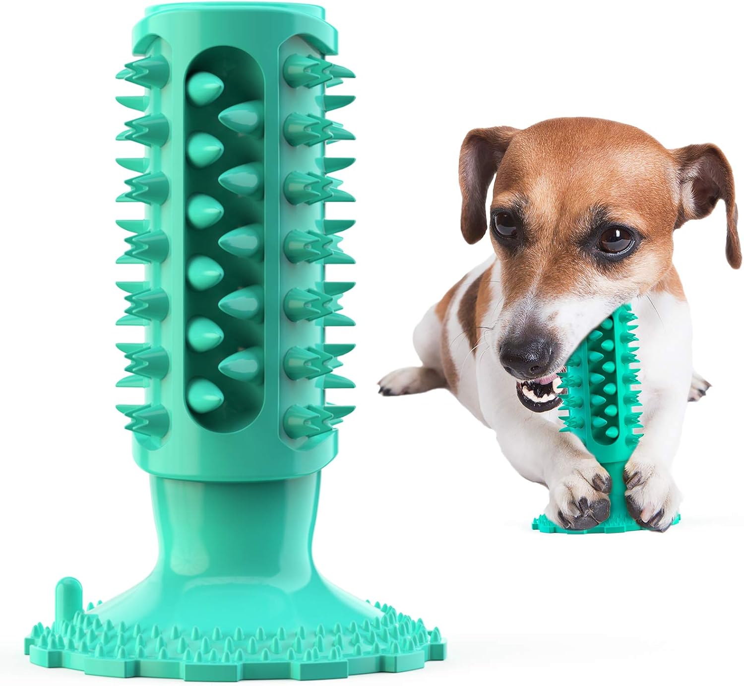 puppy biting himself