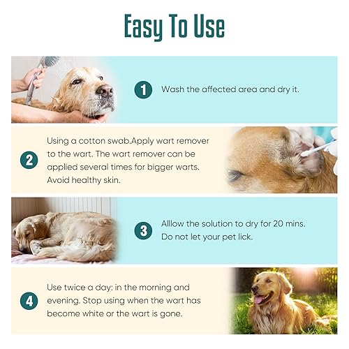 Wart Dog Skin Tag Treatment How To Getting Rid Of Skin Tags On Dogs Wart  Remover Skin Tags On