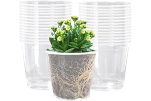 OUBEST 6 Inch Clear Nursery Pots PP Seedling Pots for Plants 30Pcs Transparent Orchid Potting Pots with Drainage Holes Indoor Outdoor Flower Pots Seedlings Succulent Vegetable Herb