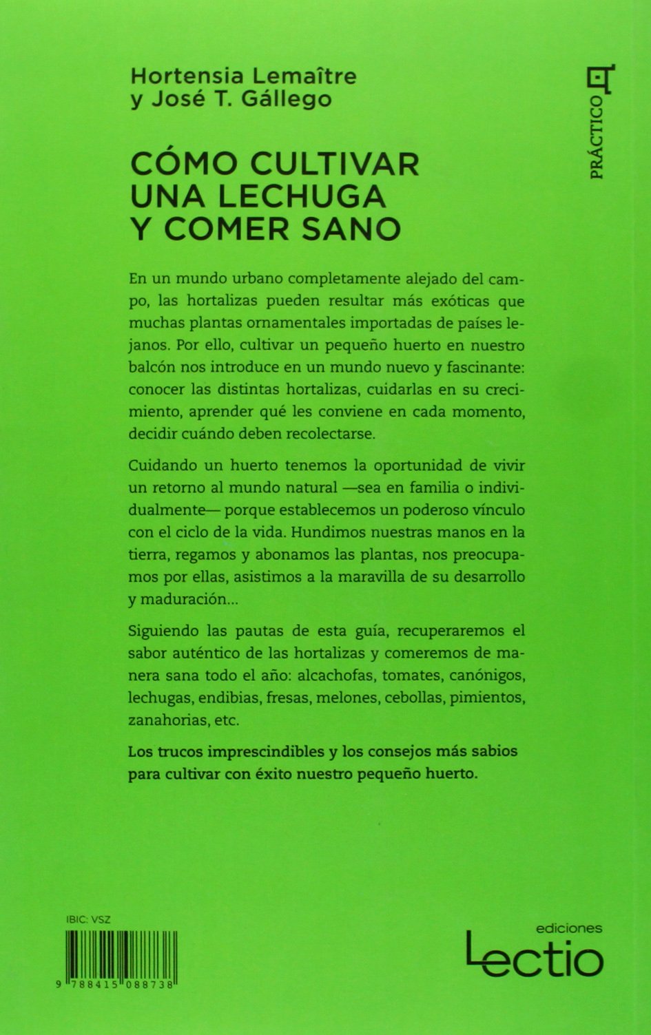 Cómo cultivar una lechuga y comer sano: Guía práctica de cultivo ...
