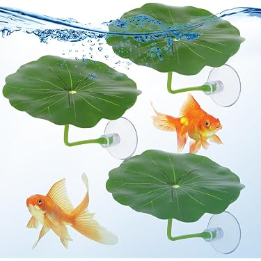 fish tank accessory sale Amazon Best Sellers: Best Aquarium Décor Thematic Ornaments Daiwa Prorex Bessie Lures This rocks are made Model:CA80HS 7.5:1 RH Storage Solutions