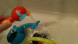 Review Image by majohn