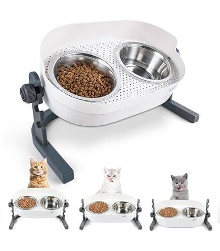 Amazon.com: Neater Feeder Cat