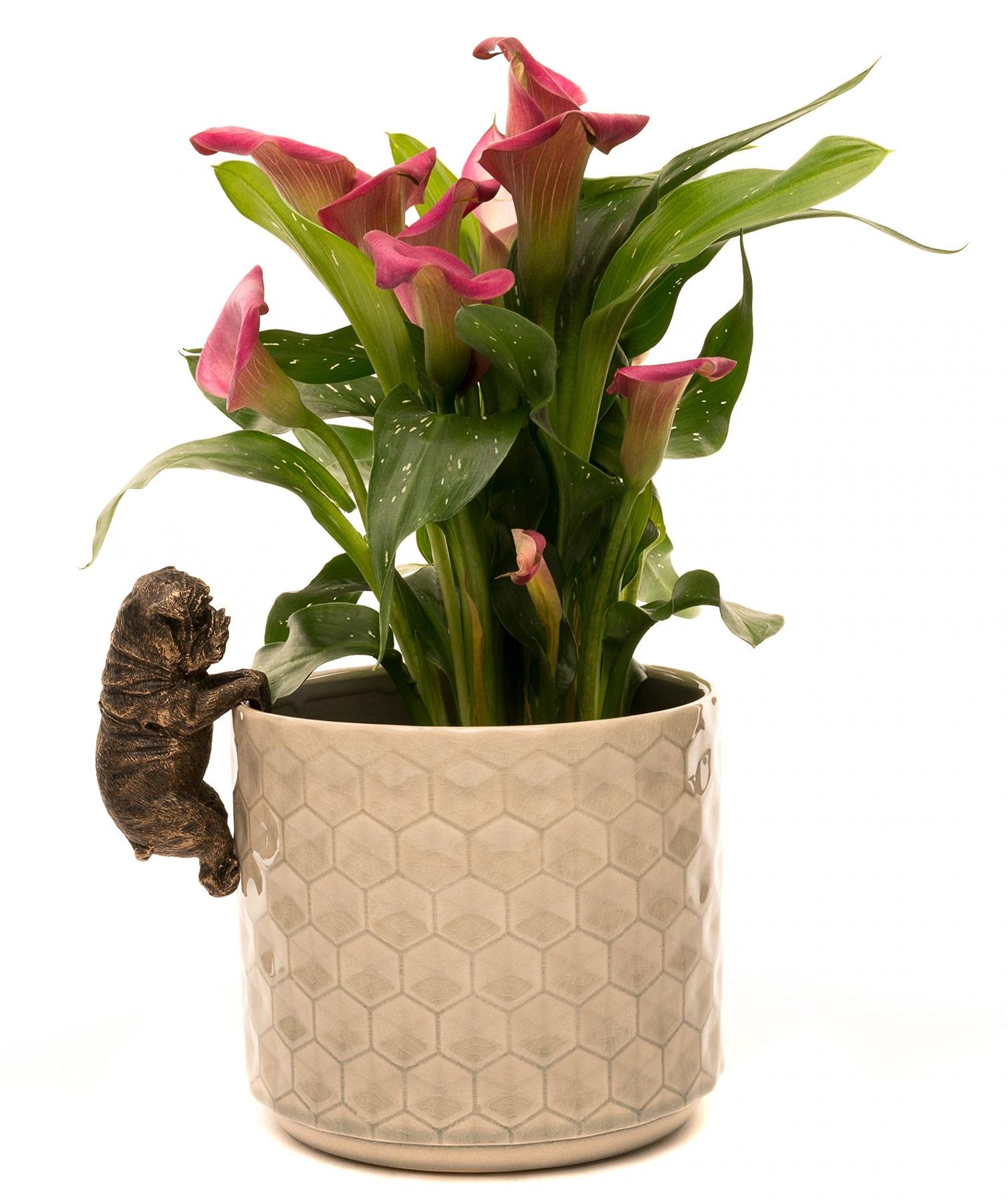 Pot Buddies Decorative British Bulldog Pot Hanger Ornament - Bronze Color