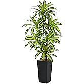 Artificial Dracaena Tree 6FT(72in) Tall Fake Silk Yucca Tree with Black Planter, Faux Floor Potted Artificial Plants for Home Office Living Room Indoor Decor (6feet,Tall Pot)