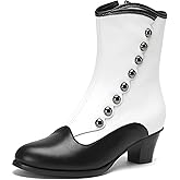 LanreyTaley Women's Victorian Ankle Boots Suede Booties Vintage Chunky Heel Cute Dress Shoes