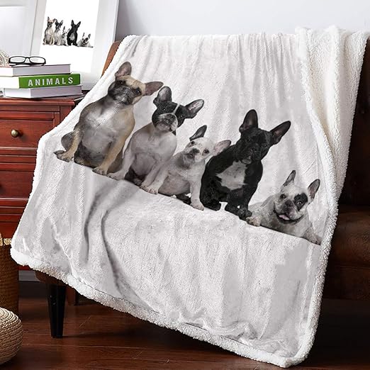 dog friendly blankets