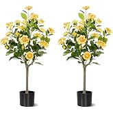 Hylmiip 3FT Artificial Camellia Tree 2 Pack, Artificial Plants Outdoor Faux Floral Plant in Cement Pot Fake Silk Camellia Tree Plants for Home House Living Room Office Decor