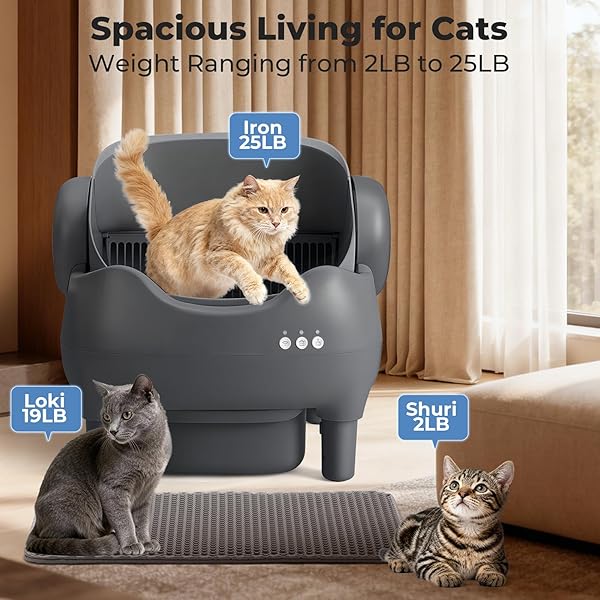KITPLUS SELF CLEANING LITTER BOX, AUTOMATIC CAT LITTER BOX WITH APP CONTROL, ODOR-FREE WASTE DISPOSAL INCLUDES TRASH BAGS, LARGE WASTE BIN, OPEN-TOP, FOR MULTIPLE CATS