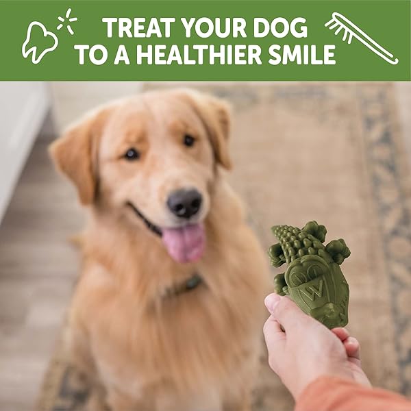 WHIMZEES WELLNESS ALLIGATOR DOG DENTAL TREAT, CHEWS, FRESHENS BREATH, LARGE SIZE, 12.7 OZ BAG, 6 COUNT