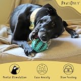 PawsOnly Dog Treat Ball Dispenser Interactive Toy Green 7cm Medium view 2