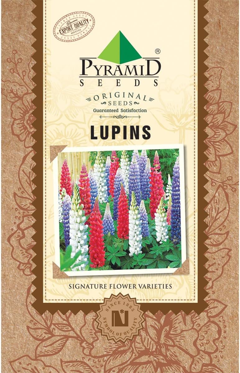 PYRAMID SEEDS Lupins