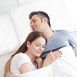 CushyOasis Shredded Memory Foam Pillow for