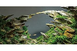 AWERT 60x24 inches Stone Aquarium Background Aquarium Background Aquatic Plant River Bed & Lake Fish Tank Background Vinyl Background
