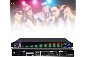 Dual Spectrum Audio Equalizer with Spectrum Display 31 Bands Professional Stereo Equalizer HD LCD Display DSP Processing Chip