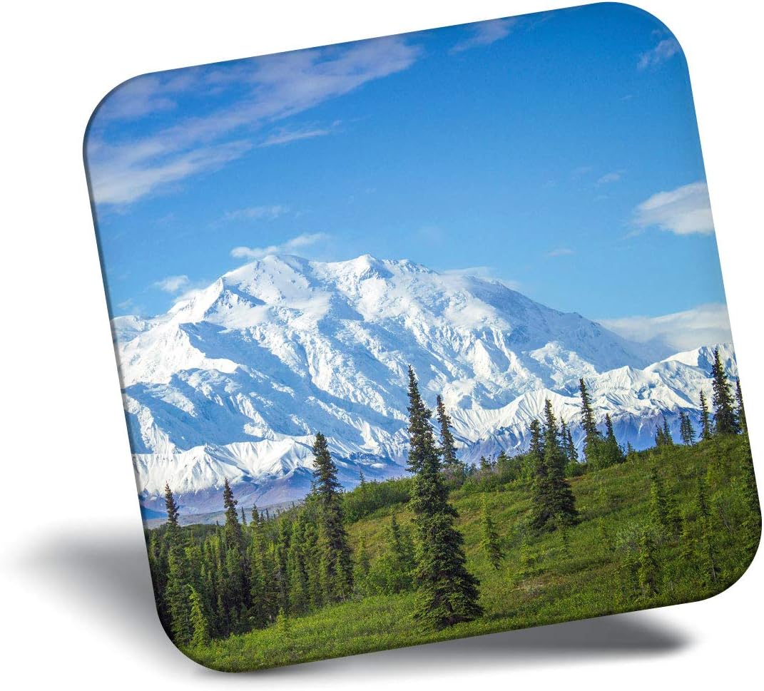 The 10 Best Refrigerator Magnet Alaska