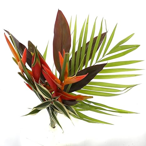 Floraathome Bouquet Vraies Fleurs Tropical Delight 6