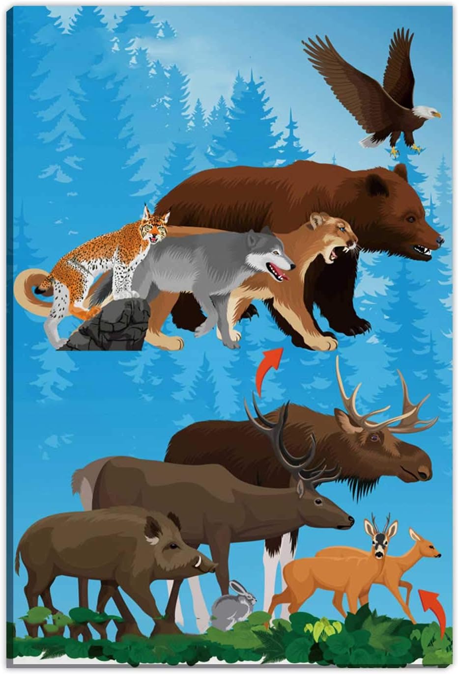 Hitecera Basic Green Forest Woodland Food trophic Chain Wall Art Decoration,Forest Ecosystem Energy Flow Motivational Posters,8''Wx12''H