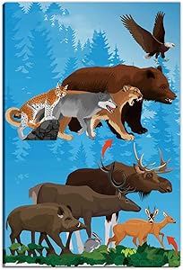 Hitecera Basic Green Forest Woodland Food trophic Chain Wall Art Decoration,Forest Ecosystem Energy Flow Motivational Posters,8''Wx12''H