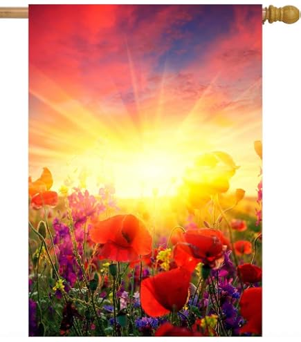Toland Garden Hausflagge „Welcome Sunset Beach“, 71,1 X 101,6 Cm (28"x40"), Doppelseitig Bedruckt – Wetterfeste Dekoration Für Garten & Terrasse