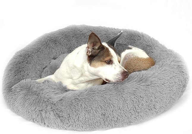 shaggy dog bed