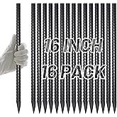 AAGUT 16 Inch Rebar Stakes Heavy Duty 16 Pack 3/8" Diameter Landscape Timber Spikes, Straight Stakes with Chisel Point End, Ground Anchors for Camping Tent, Garden Plant Support, Concrete, Black