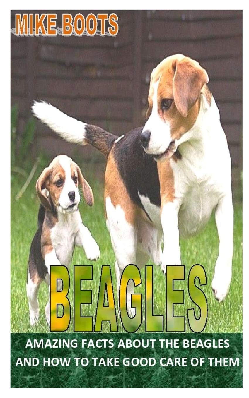 the beagles