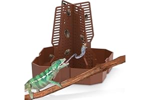 Fischuel Chameleon Feeding Bowl for Reptile Terrarium, Climbable Design for Reptile to Hunt, Suitable for Feeding Lizards, Bearded Dragons, Geckos, Guardians, Frogs, Reddish Brown, Large