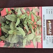 Semillas Aromáticas - Menta Spicata (Hierbabuena) - Batlle: Amazon ...
