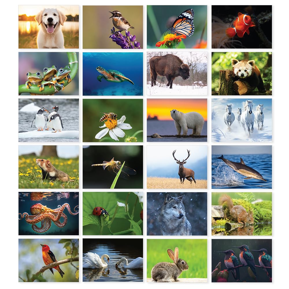 Papa Prints Pack of 24 Wildlife Greeting Cards Blank Greeting Cards (149 x 105 mm) with Envelopes Blank Inside