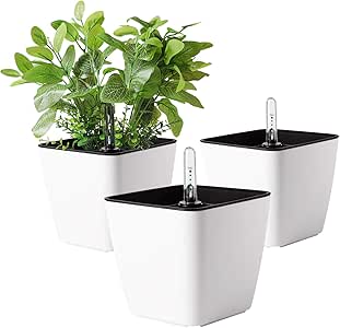 Amazon.com: T4U 5.5 Inch Self Watering Plastic Planter with Water Level
