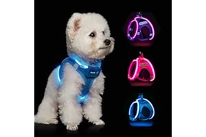 FEYCIG Light Up Dog Harness,LED Dog Harness for Small Medium Sized Dog,Reflective No Pull Dog Vest Harness,Rechargeable Flashing Lighted Dog Walking Harness,Blue,S