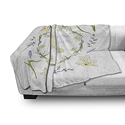 Ambesonne Cranes Throw Blanket, Sandhill Birds in