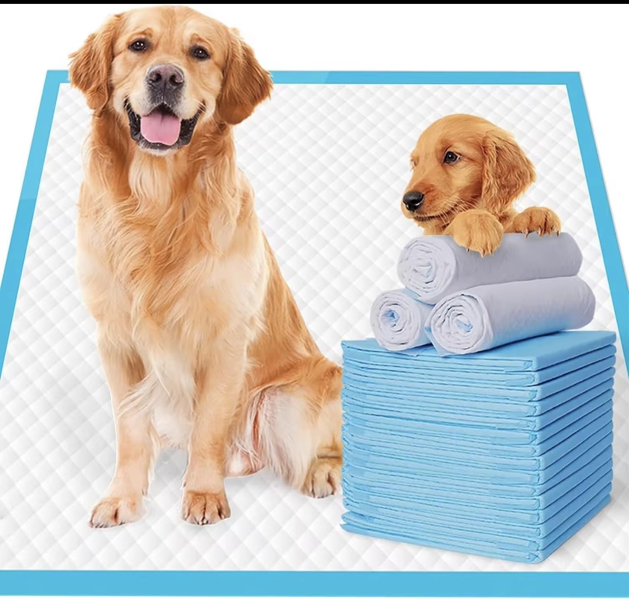 Photo 1 of Super-Absorbent Pet Training Pads, Leak-Proof Design, 24-Hour Protection, Thickening Material (Small, 100, 33x45)