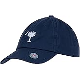 Ann Arbor T-shirt Co. American 50 States Pride Flag Baseball Low Profile Dad Hat for Men Women