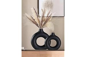 1pc White/Black Plastic Circular Flower Vase Decoration, Simulated Dry Flower Vase, Artistic Vase for Floral Arrangements, Si