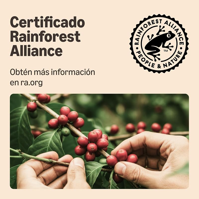 Cápsulas de café de plástico Lungo intenso compatíveis com Nespresso, torradas médias, 100 unidades (2 embalagens de 50), certificadas pela Rainforest Alliance