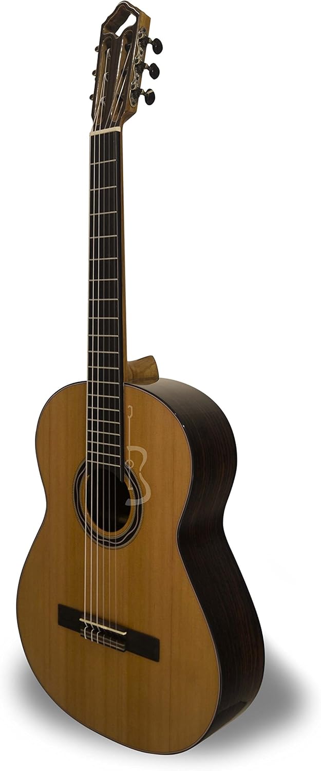 APC AC Classical Guitar Amazon.co.uk Musical Instruments